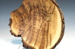 Maple burl #54-22 (15.5" wide x 3.75" high $235) View 3