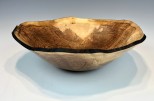 Maple burl #55-49 (11.5" wide x 3.5" high $175) View 1