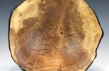 Maple burl #55-49 (11.5" wide x 3.5" high $175) View 3