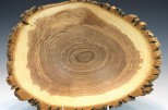 Black Ash #53-96 (15" wide x 6" high $225) VIEW 3