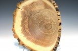 Black Ash #53-96 (15" wide x 6" high $225) VIEW 4