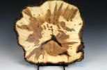 Maple burl #48-75 (11.5" wide x 2.25" high $160)