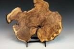 Maple burl #48-74 (11.75" wide x 1.5" high $125)