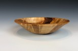 Yellow Birch burl #480 (9.25" wide x 2.25" high $75) VIEW 1<div></div>