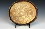 Yellow Birch burl #49-60 (8.25" wide x 1.75" high $70)