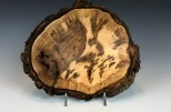 Maple burl #48-51 (7.75" wide x2" high $70)