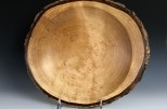 Yellow Birch burl #49-65 (14" wide x 2.75" high $180) VIEW 1