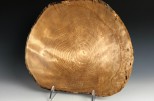 Yellow Birch burl #49-66 (12.5" wide x 3" high $150) VIEW 1