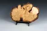 Maple burl #35-88 (9" wide x 1.5" high $75)