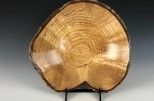 Yellow Birch burl #41-32 (11.5" wide x 2.75" high $140) VIEW 1<div></div>