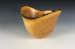 Honey Locust #32-01 (9" wide x 6.5" high $130) Full Log VIEW 3