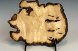 Maple burl #50-40 (7.5" wide x 1.5" high $75)