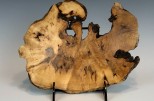 Maple burl #50-43 (9" wide x 2" high $75)